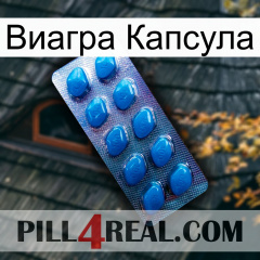 Виагра Капсула viagra1